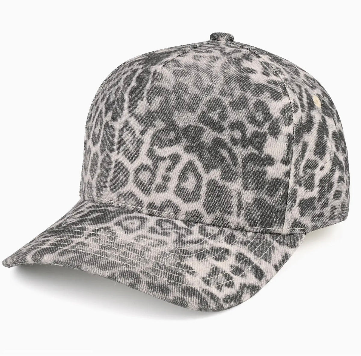 The big conch in leopard