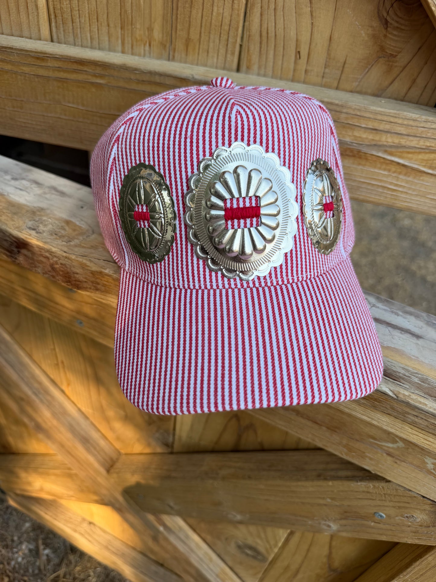 The big conch in all stripes