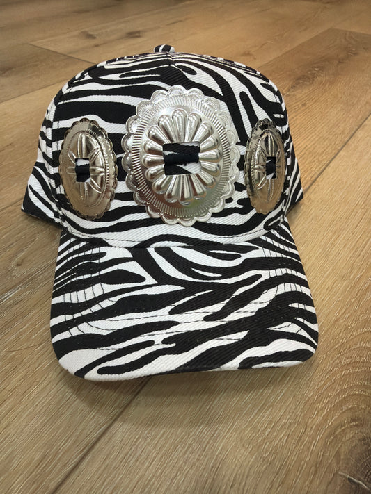 The big conch in Zebra