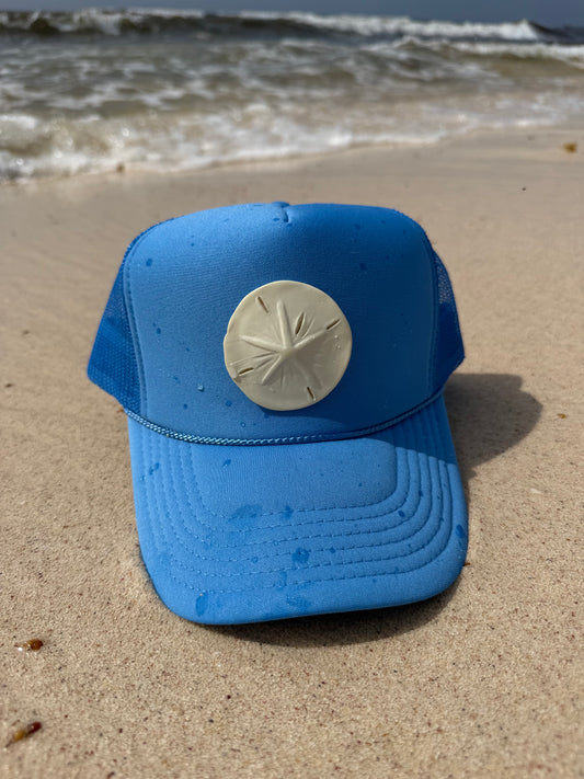 Sand dollar babe